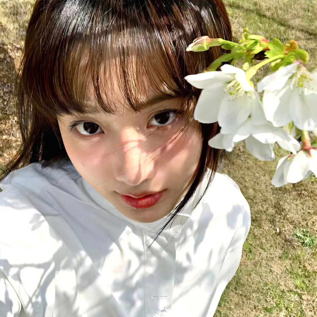 四个女人的故事